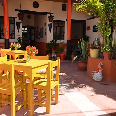 Hostal El Rincon De Los Camellos San Cristobal de las Casas Ngoại thất bức ảnh