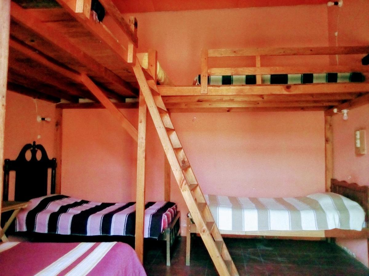 Hostal El Rincon De Los Camellos San Cristobal de las Casas Ngoại thất bức ảnh