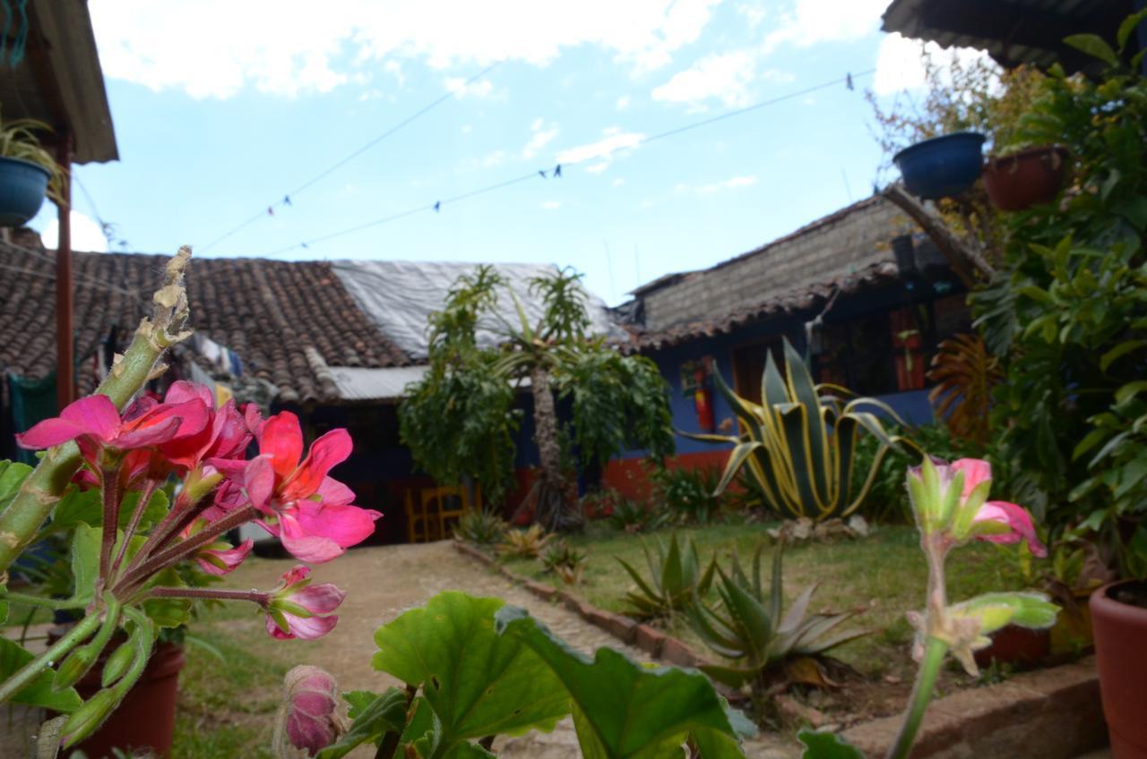 Hostal El Rincon De Los Camellos San Cristobal de las Casas Ngoại thất bức ảnh
