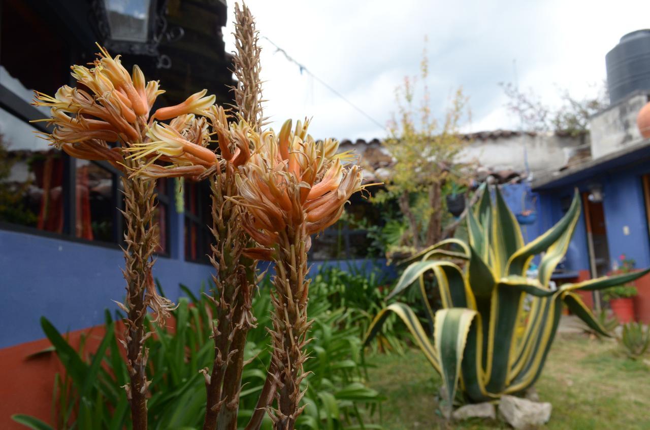 Hostal El Rincon De Los Camellos San Cristobal de las Casas Ngoại thất bức ảnh