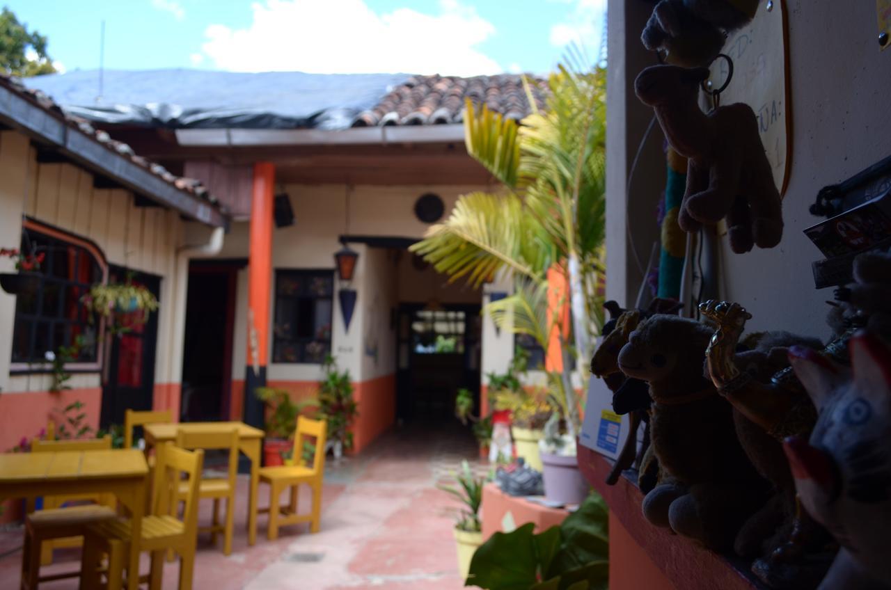 Hostal El Rincon De Los Camellos San Cristobal de las Casas Ngoại thất bức ảnh