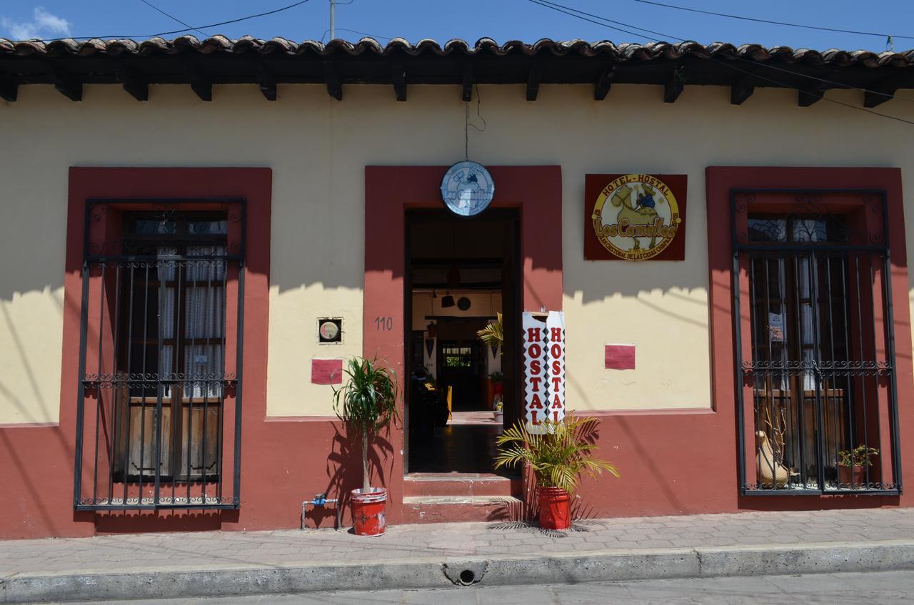 Hostal El Rincon De Los Camellos San Cristobal de las Casas Ngoại thất bức ảnh