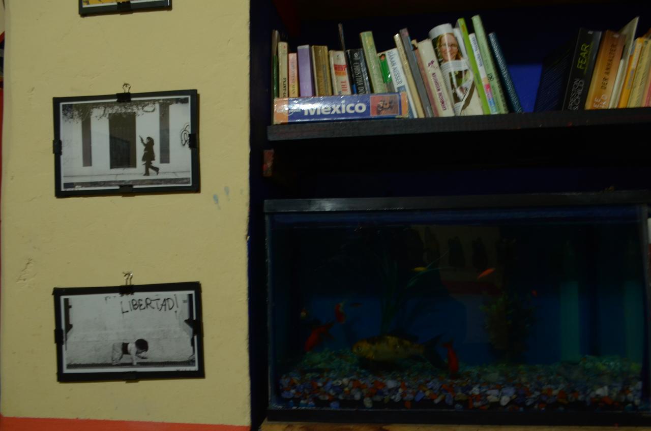 Hostal El Rincon De Los Camellos San Cristobal de las Casas Ngoại thất bức ảnh