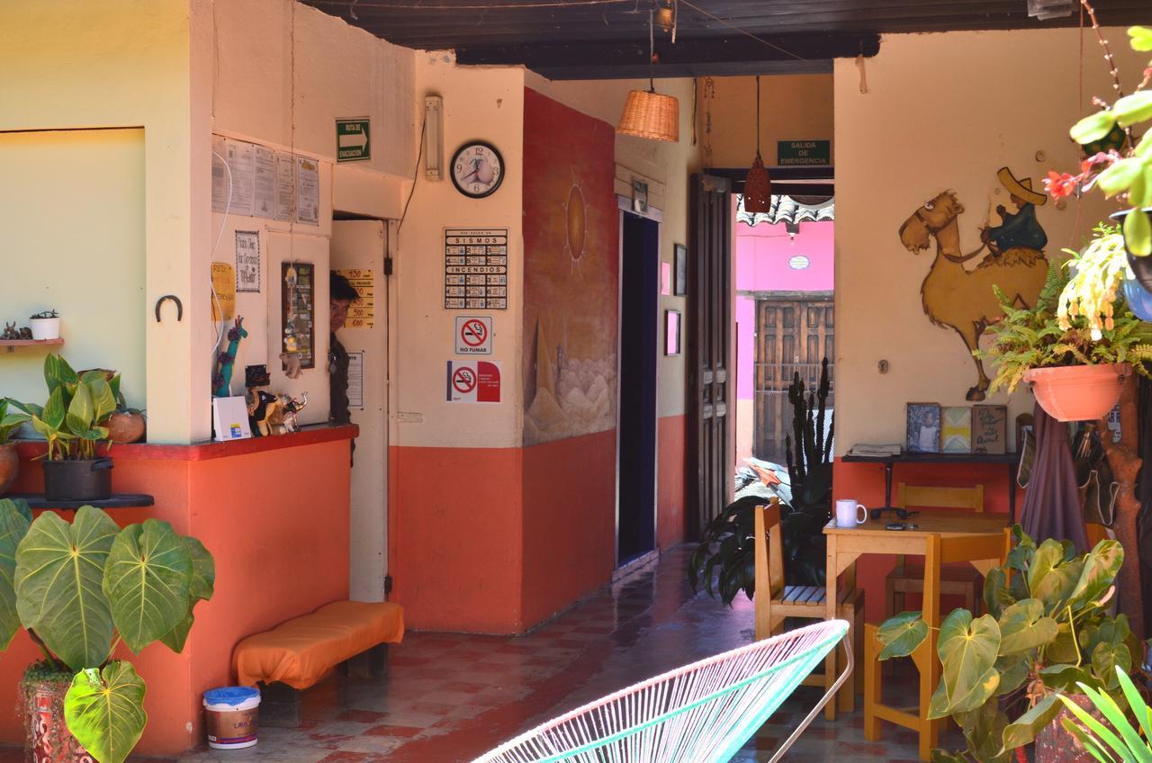Hostal El Rincon De Los Camellos San Cristobal de las Casas Ngoại thất bức ảnh