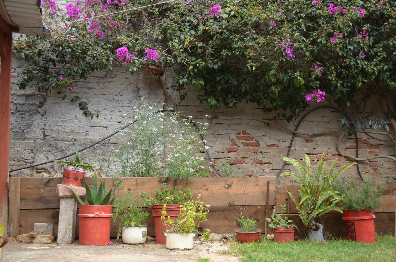 Hostal El Rincon De Los Camellos San Cristobal de las Casas Ngoại thất bức ảnh