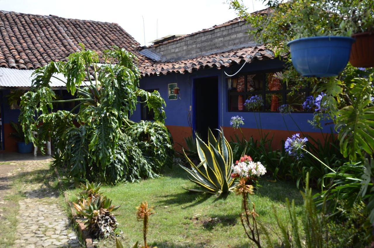 Hostal El Rincon De Los Camellos San Cristobal de las Casas Ngoại thất bức ảnh