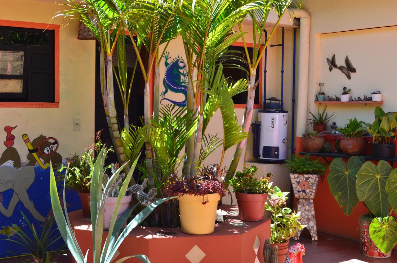 Hostal El Rincon De Los Camellos San Cristobal de las Casas Ngoại thất bức ảnh