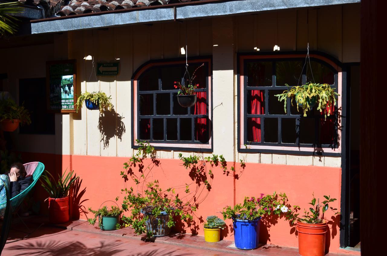 Hostal El Rincon De Los Camellos San Cristobal de las Casas Ngoại thất bức ảnh