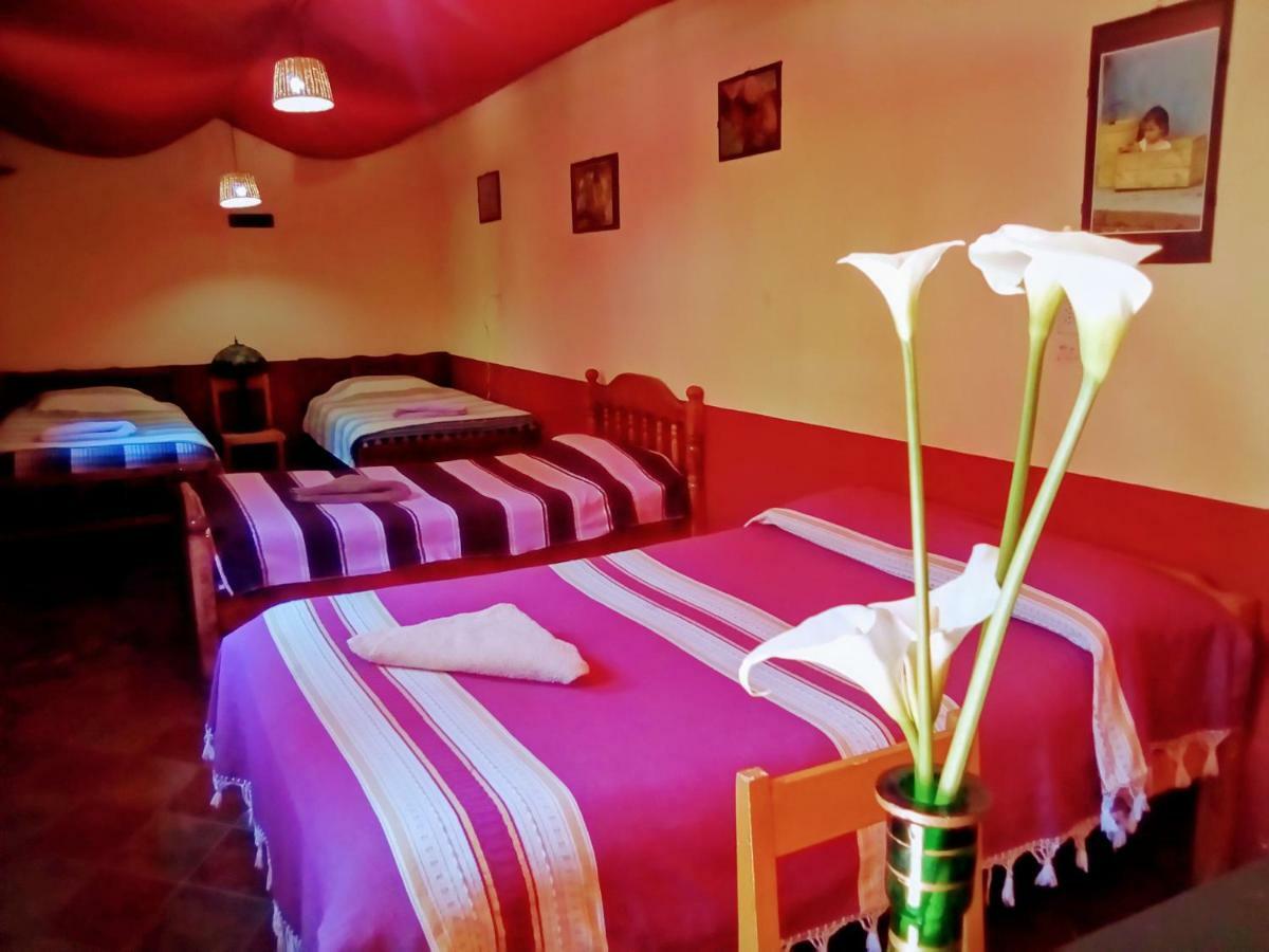Hostal El Rincon De Los Camellos San Cristobal de las Casas Ngoại thất bức ảnh
